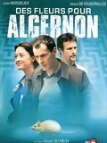 poster de Des fleurs pour Algernon