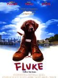 poster de Fluke