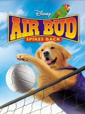 Airbud 5 : superstar