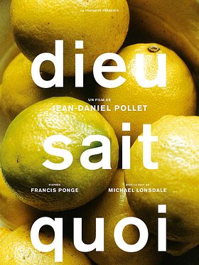 poster de Dieu sait quoi
