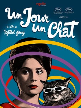 poster de Un Jour un chat