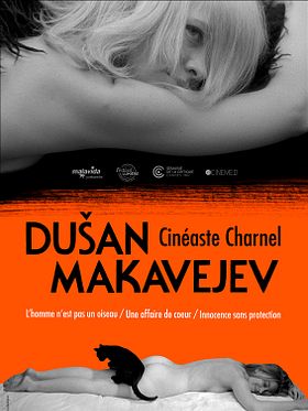 poster de L'Homme n'est pas un oiseau
