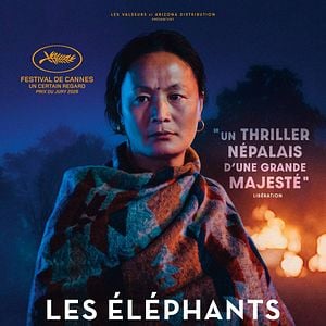 Photo Les Éléphants dans la brume