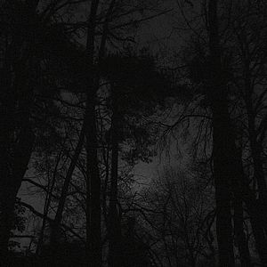 Photo Nuit obscure - Au revoir ici, n'importe où