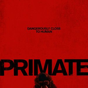 Photo Primate