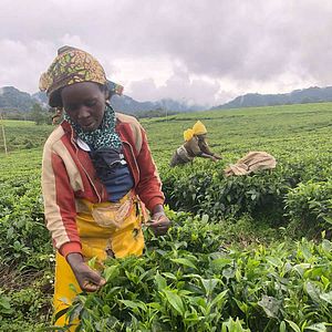 Photo Altaïr Conférences - Rwanda le paradis retrouvé