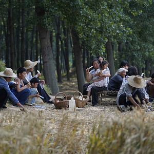 Photo Le Temps des moissons