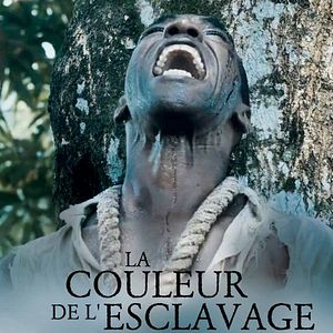 Photo La Couleur de l'esclavage