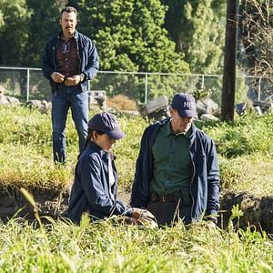 Photo Austin Stowell