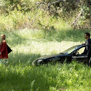 Photo A Big Bold Beautiful Journey