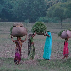 Photo Krishnamurti, la révolution du silence