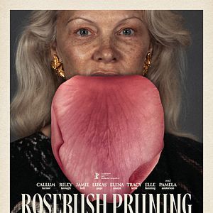 Photo Rosebush Pruning