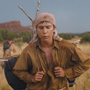Photo The Wilderness