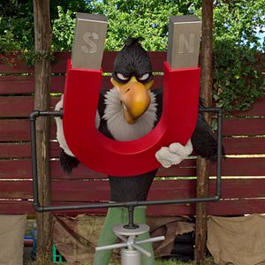 Photo Woody Woodpecker : Alerte en colo
