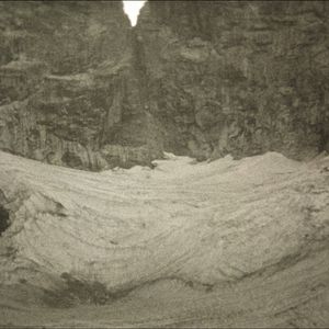 Photo Terra Femme