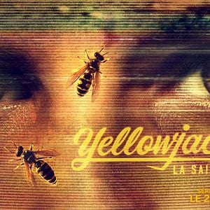 Photo Yellowjackets