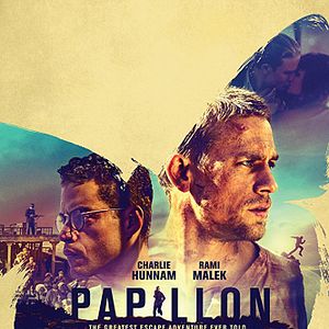 Photo Papillon