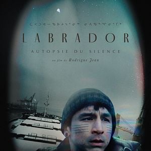 Photo Labrador - Autopsie du silence