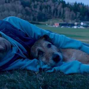 Photo Le Procès du chien