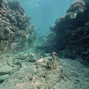 Photo Titouan, les enfants du corail