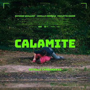 Photo Calamite
