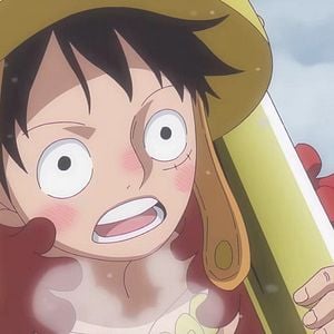 Photo One Piece