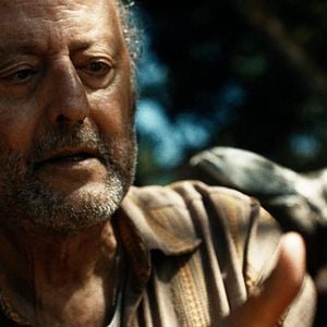 Photo Mon ami le petit manchot