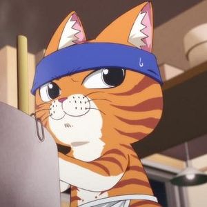 Photo Ramen Akaneko