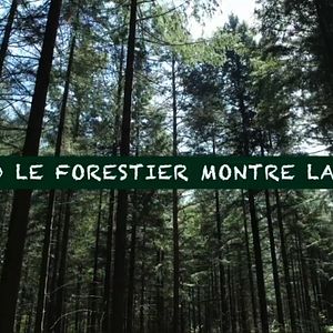 Photo Quand le forestier montre la lune