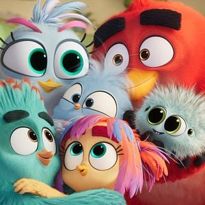 Photo Angry Birds 3 - la grande envolée