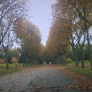 Photo Le Sentier des absents