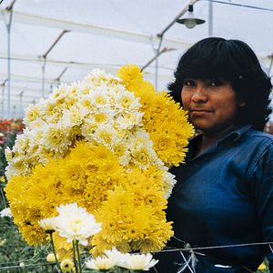 Photo Amour, femmes et fleurs