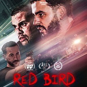 Photo Red Bird