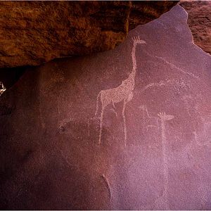 Photo ALTAÏR conférences - Namibie, époustouflante par nature