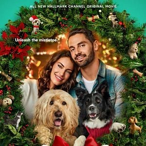 Photo Un Noël au poil !