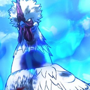 Photo Rooster Fighter