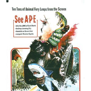 Photo The New King Kong