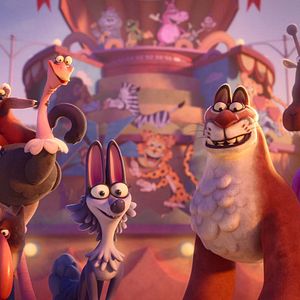 Une Nuit Au Zoo Film 2025 AlloCin 
