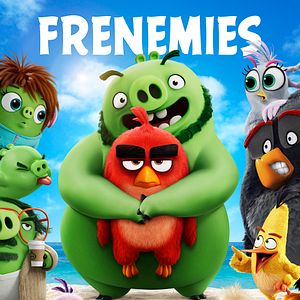 Photo Angry Birds : Copains comme cochons