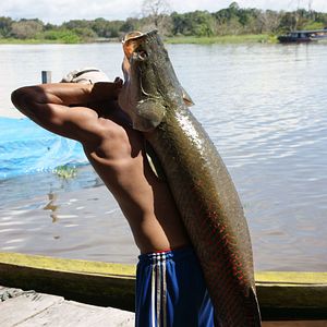 Photo Regards sur le monde : Brésil, de Rio à l’Amazonie