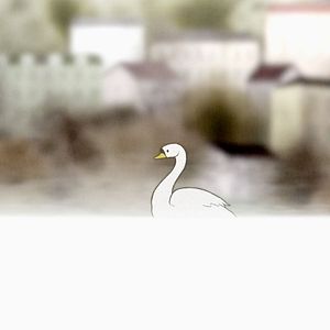 Photo Le Cygne et l'enfant