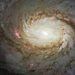 Photo Big Bang, l’appel des origines