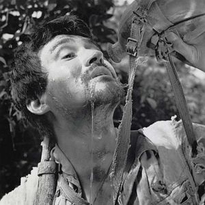 Photo Feux dans la plaine