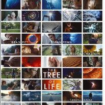 Photo The Tree of Life