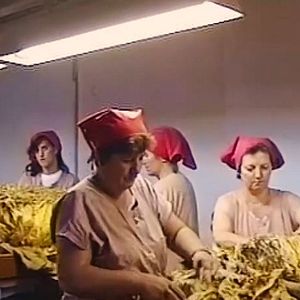 Photo Le Tabac, une affaire de femmes
