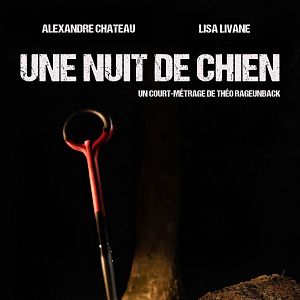 Photo Une nuit de chien