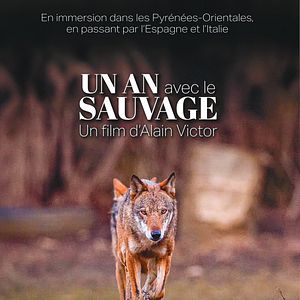 Photo Un an avec le sauvage