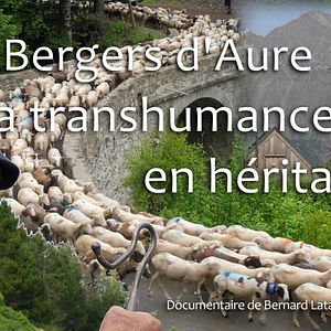 Photo Bergers d'Aure : La transhumance en  héritage