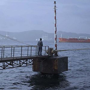 Photo L'Homme qui regardait les bateaux