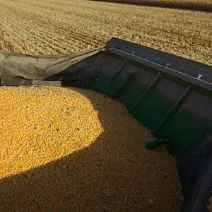 Photo Omnivores : Le parcours de l’alimentation